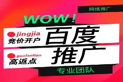 百度霸屏推广案例：揭秘如何打造企业品牌影响力